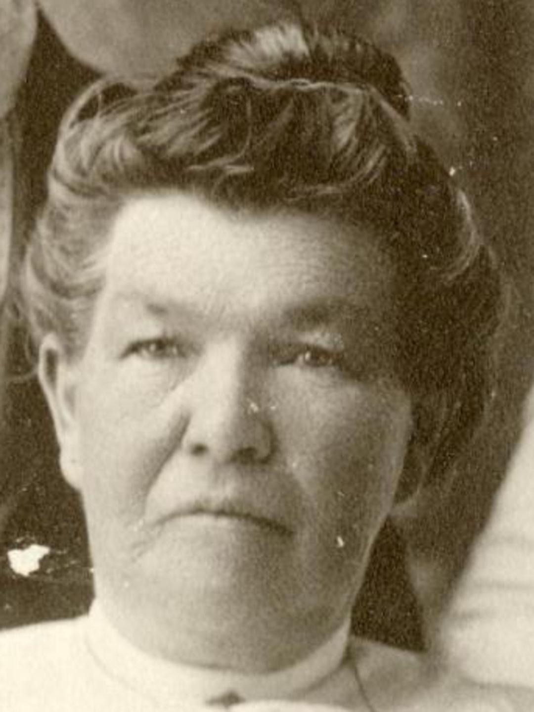Letitia John (1853 - 1914) Profile